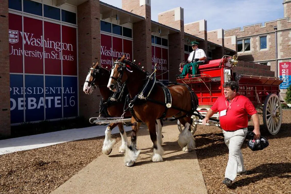 FILE PHOTO: The Budweiser brewing company Clydesdale horses arrive for the second 2016 U.S. presidential debate at Washington University in St. Louis, Missouri, October 7, 2016.  REUTERS/Rick Wilking/File Photo