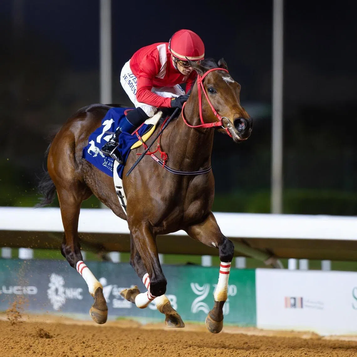 Ameerat Alzamaan (Silvestre de Sousa) winning the domestic Group 2 Prince Sultan Ben Abdulaziz Cup (2,000m) at King Abdulaziz racecourse in Riyadh on Dec 26, 2025. The Sami Alharabi-trained six-time winner will bid for more success under Joel Rosario in the Group 3 The Custodian of the Two Holy Mosques Cup (1,800m) at the same track on Jan 17.

