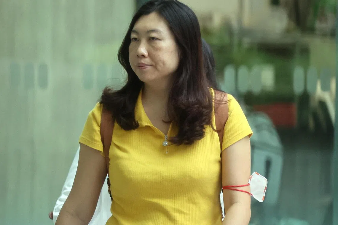 Chinese citizen Zhang Tianxue, who is now a Singapore permanent resident, pleaded guilty on Jan 23 to one charge under the Companies Act. 