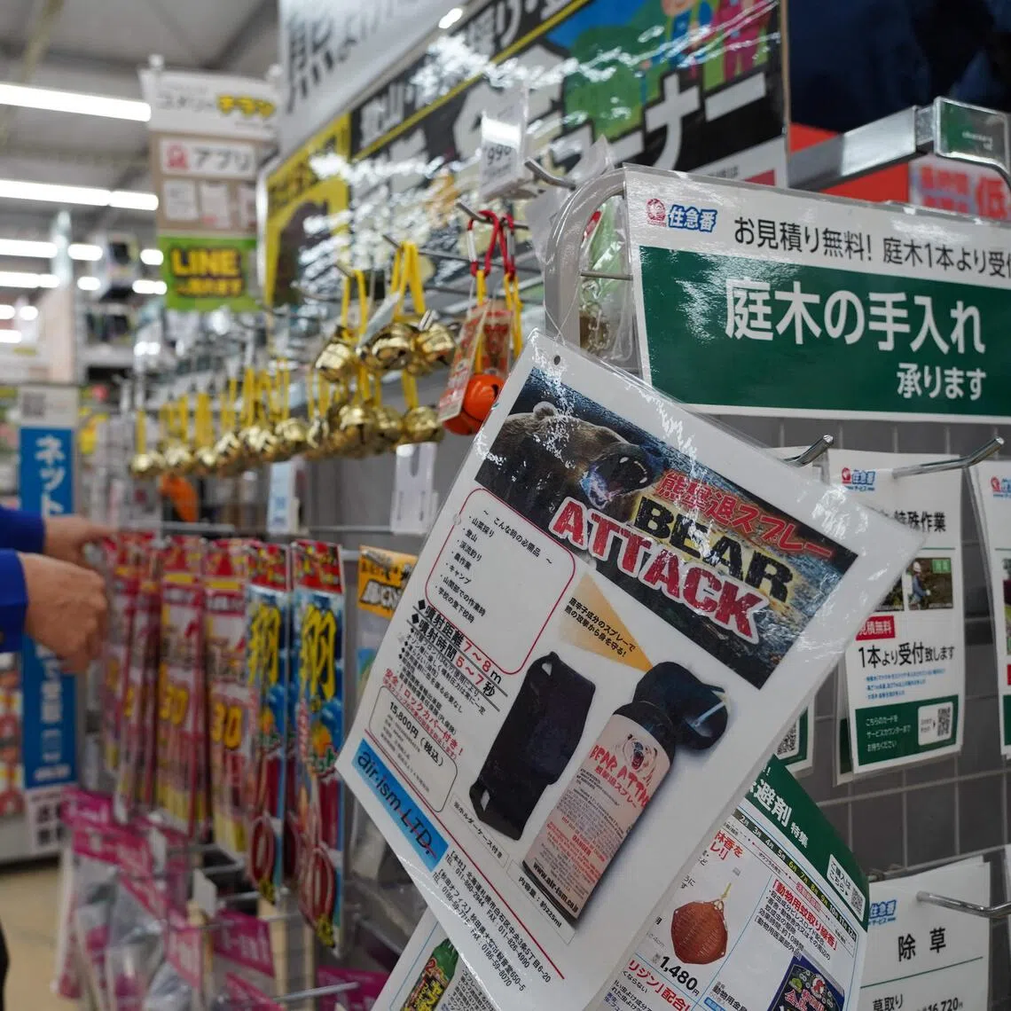 Bear attacks on 230 people in Japan, including 13 deaths, were reported between April and November.