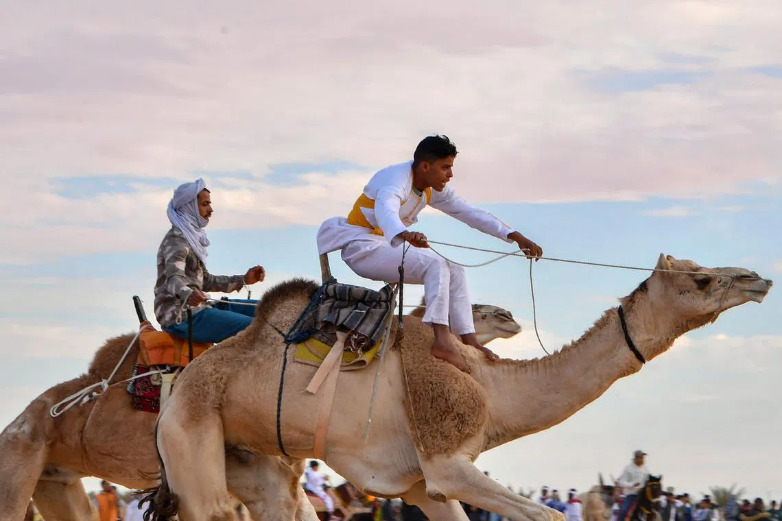 Men taking part in a camel race at the start of the International Sahara Festival on Dec 27, 2023 in Douz, in southern Tunisia. 