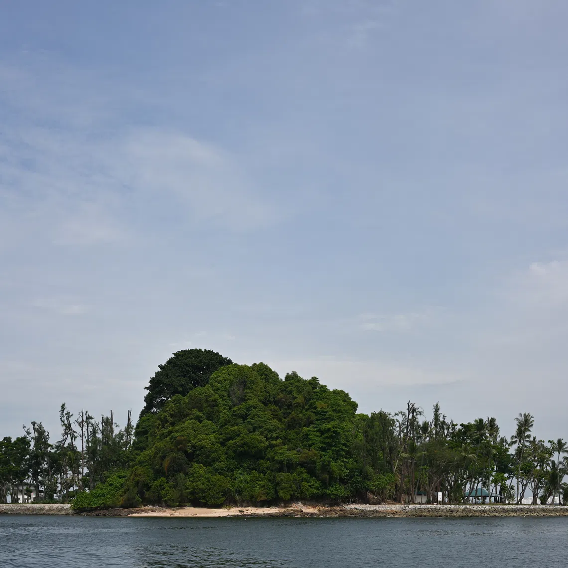 The launch of the National Institute for Marine and Ocean Sciences comes as several changes are expected in Singapore’s sea spaces.