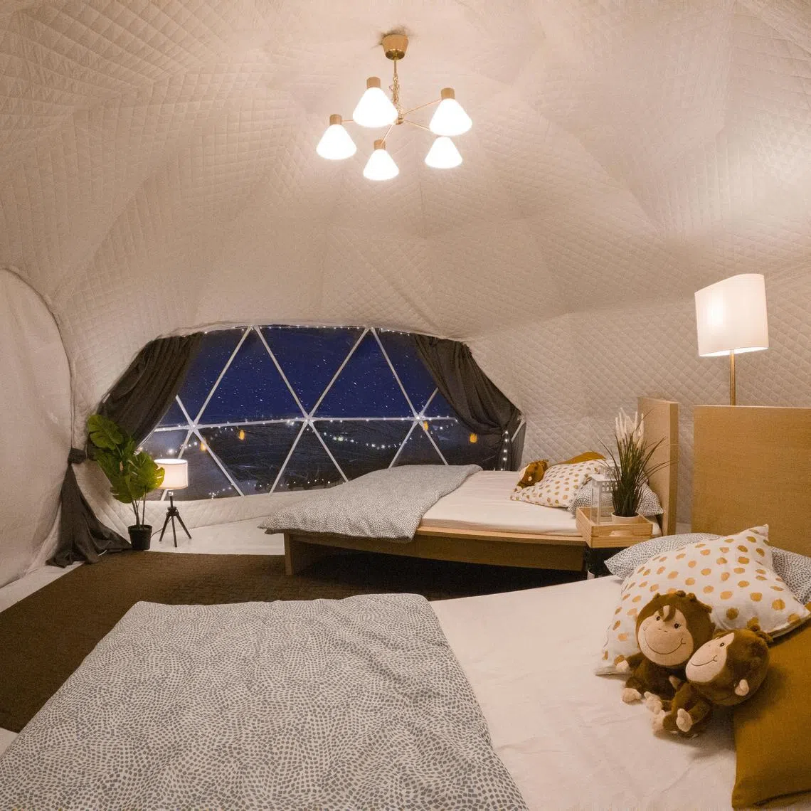 Enjoy a one-night stay in an air-conditioned glamping tent which sleeps up to four people.