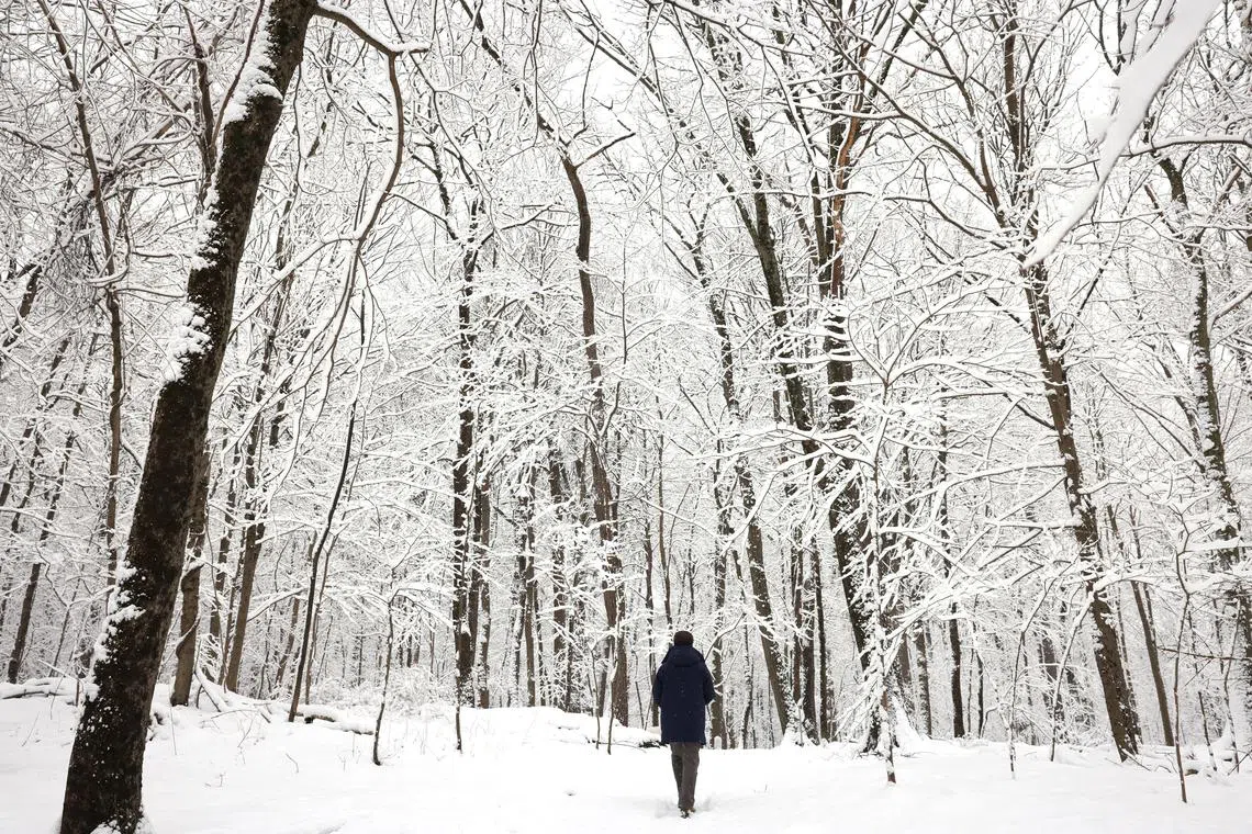 A man walking into a snow covered forest in Tallman Mountain State Park during a winter storm in the New York City suburban town of Sparkill, New York, U.S on Feb 28, 2023.  
