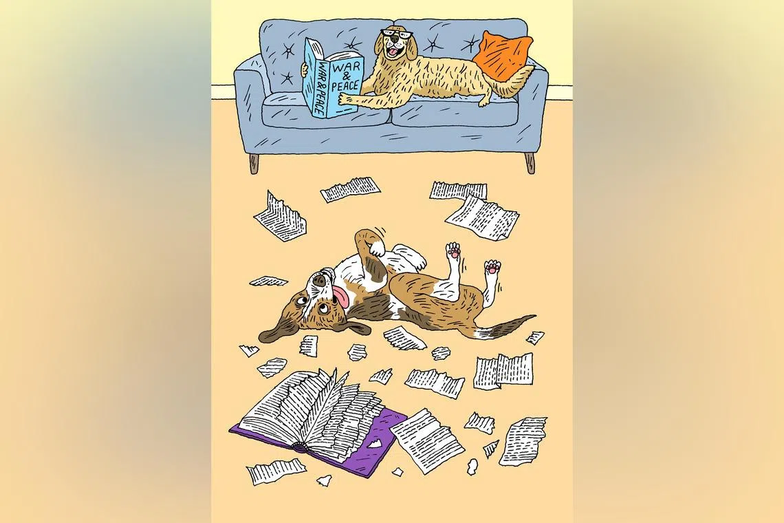 In defence of dumb dogs: Intelligence can be an overrated trait