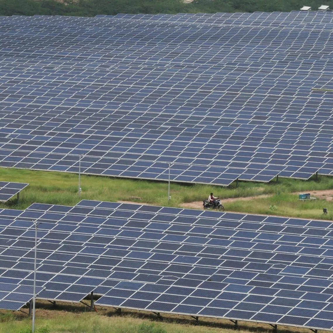 A man rides a motorcycle through a field of solar panels in Gujarat Solar Park at Patan district, Gujarat, India, on Sept 12, 2024. PHOTO: REUTERS