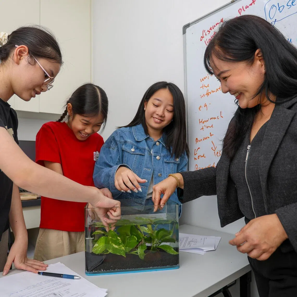 Tutor Laura Oh uses water plants to teach her pupils the concept of photosynthesis at her tuition centre House of Hows.