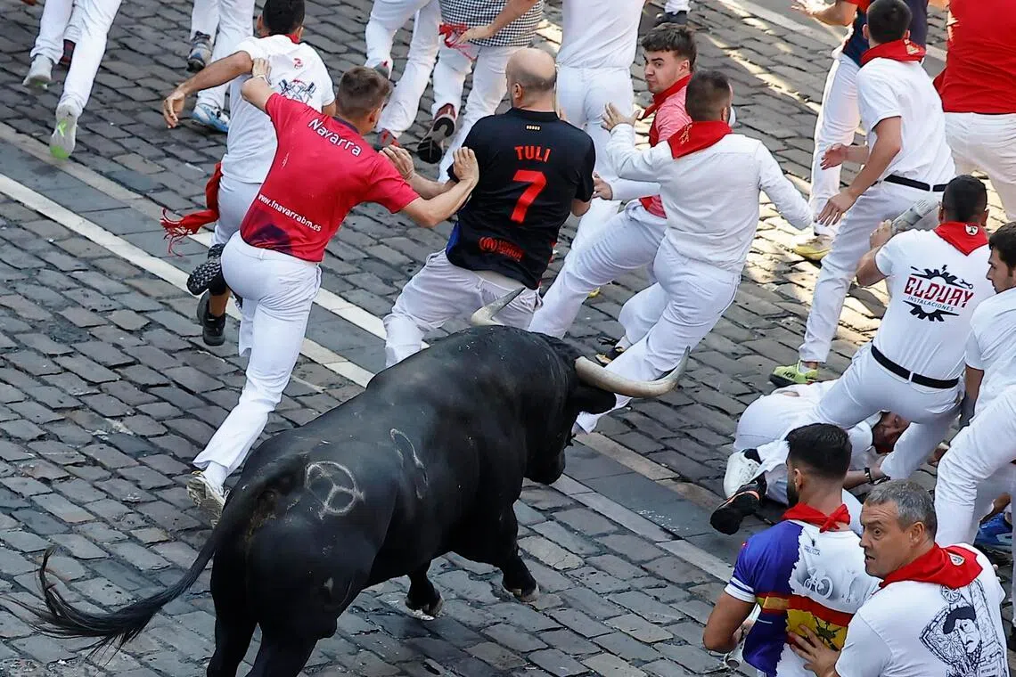 Runners are chased by bulls from the Jandilla ranch during the final bull run of the San Fermin festival in Pamplona, Navarra, northern Spain, on July 14.