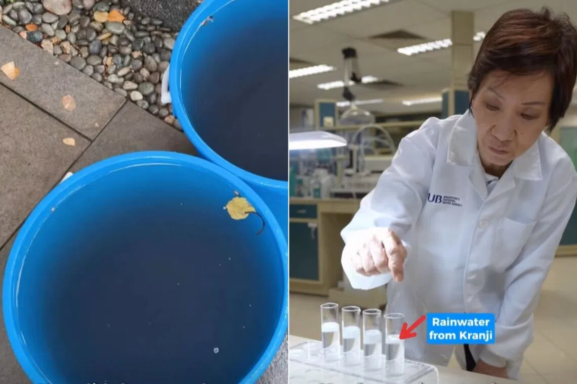 Checks carried out by national water agency PUB have not found any unusual changes in the quality of Singapore’s treated water.