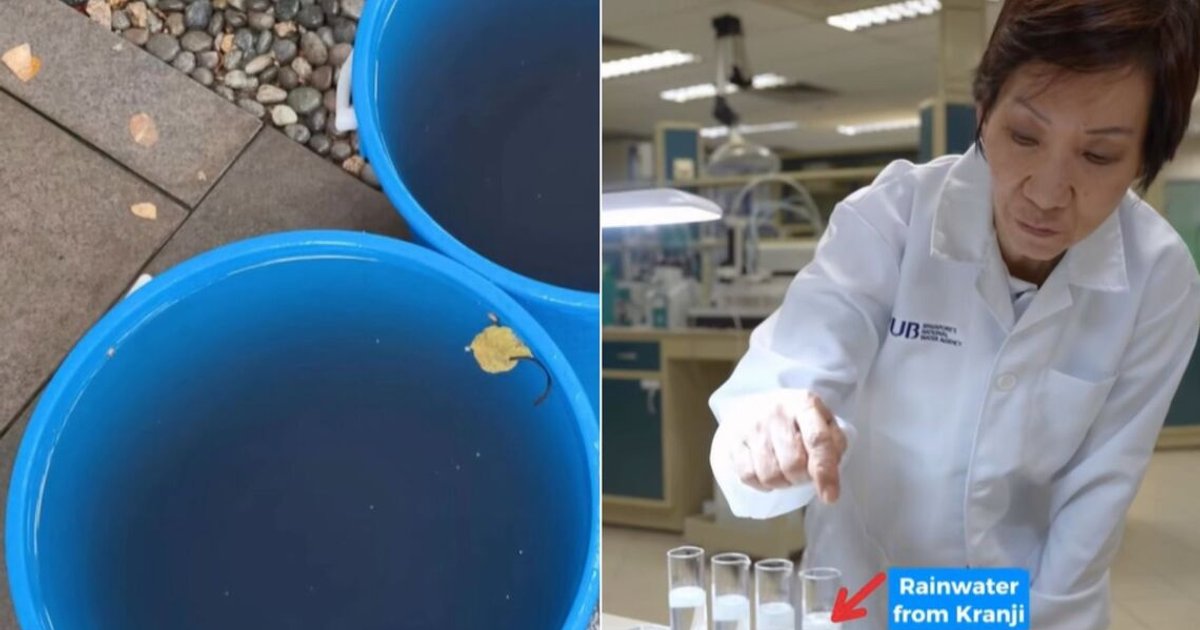 Singapore’s tap water is safe to drink: Grace Fu