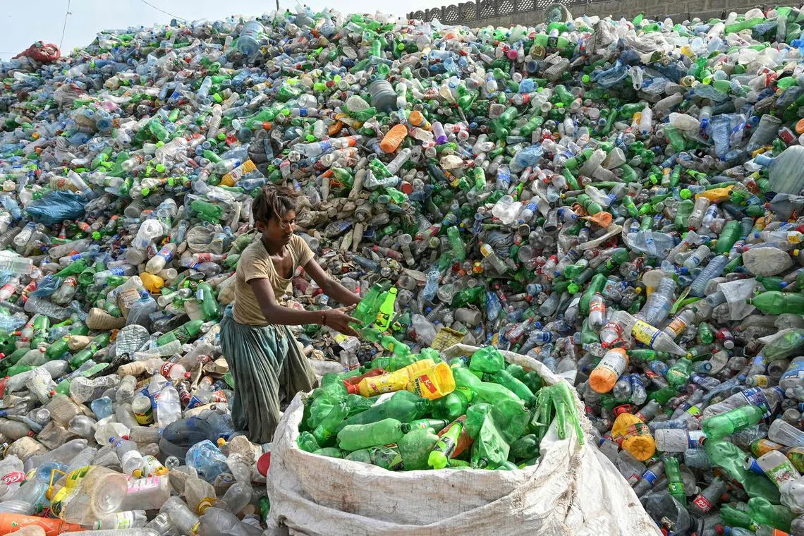 Primarily used in packaging, biosourced plastics account for less than 1 per cent of global plastic production.