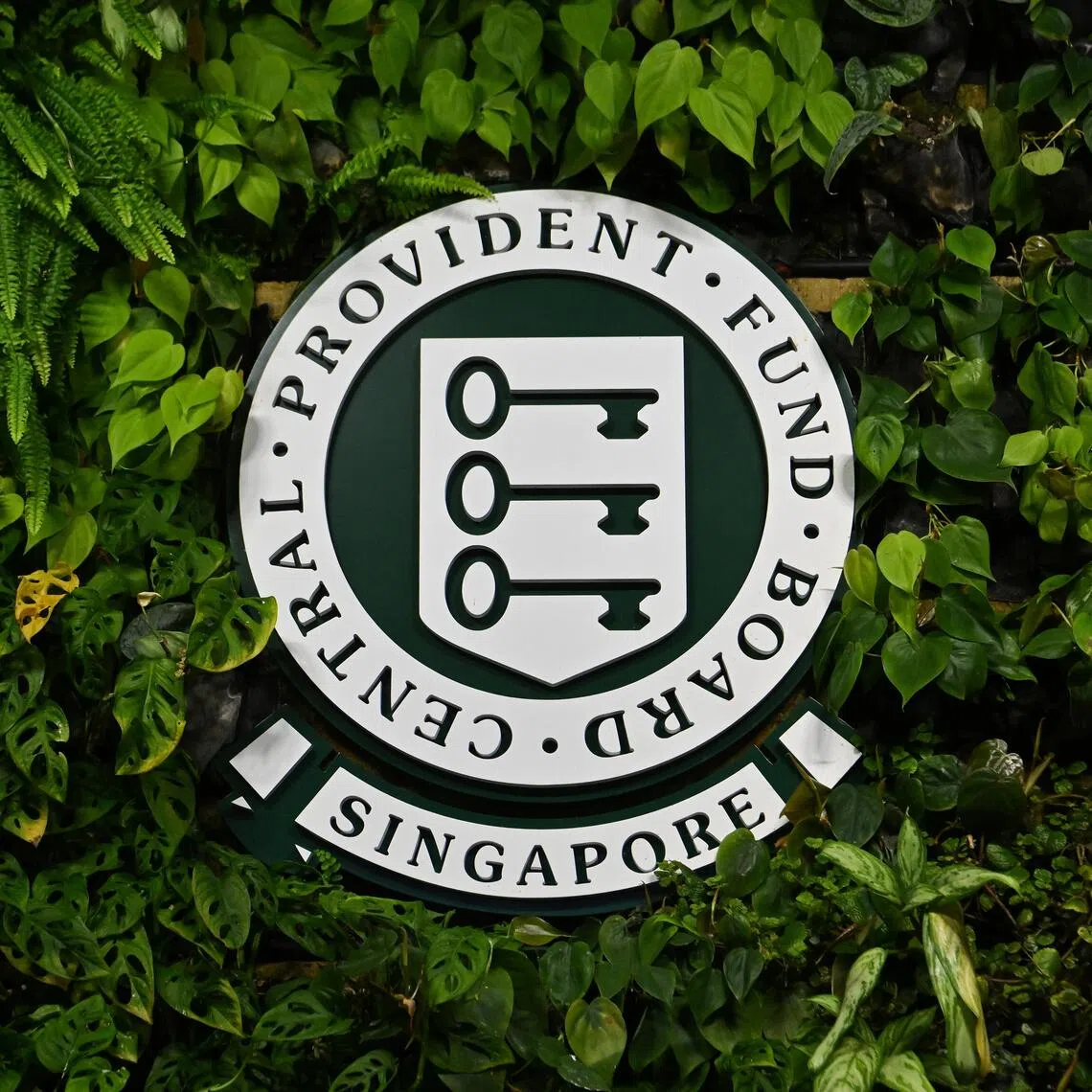 The salary ceiling for CPF contributions is rising from $6,000 to $8,000 by Jan 1, 2026. 