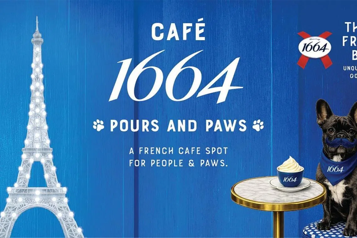 Cafe 1664 Pours & Paws at GastroBeats 2026 is attempting to set a Singapore record for the largest French bulldog gathering.