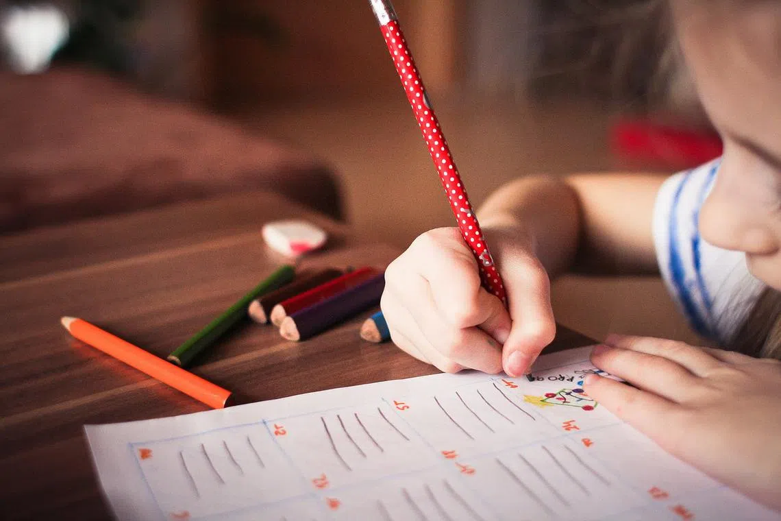 Struggling learners without a formal diagnosis constitute 25 to 30 per cent of the student population in Singapore. 