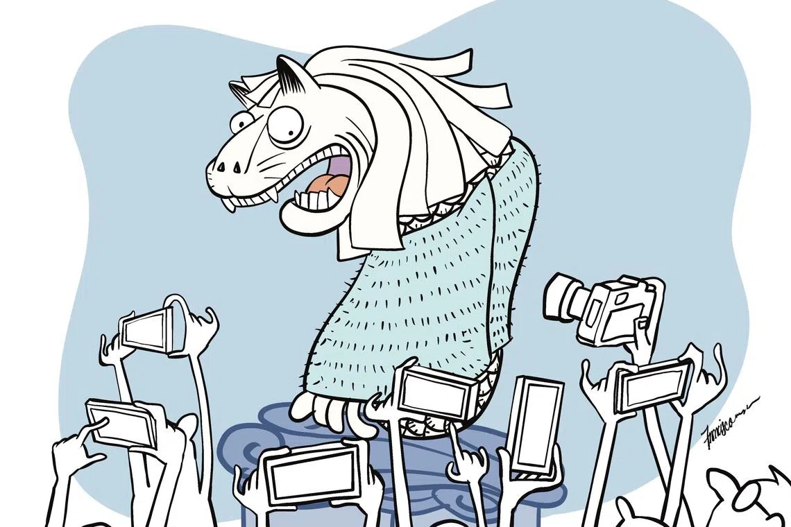 The covered up Merlion will not be available for photo-taking for two days.