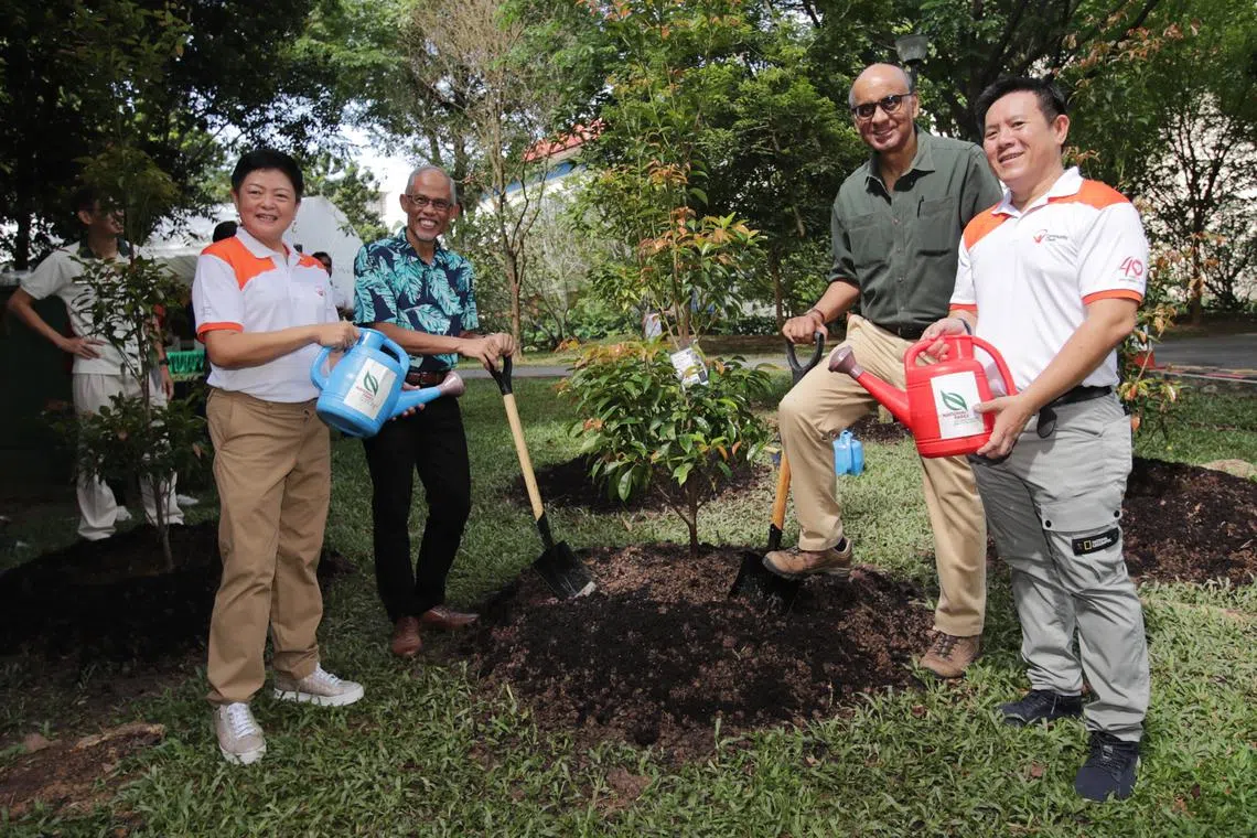 (L-R): Ms Anita Fam, President, National Council of Social Service;  Masagos Zulkifli, Minister for Social and Family Development and Second Minister for Health; Mr Tharman Shanmugaratnam, Senior Minister and Coordinating Minister for Social Policies; and Mr Chew Sutat, Chairman, Community Chest in a tree-planting activity during the Seeds of Sustainable Philanthropy event at Alexandra Canal Linear Park on Apr 27, 2023.