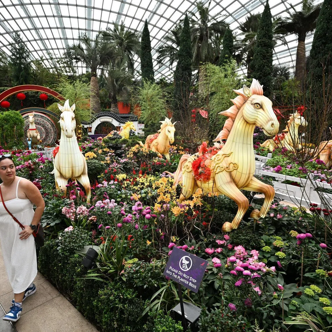 ST20260112-202603000569-Lim Yaohui-Chin Soo Fang-sfcny13/

Ms Kiarra Mae Mojica, 32, Nurse, with her daughter Karla Romia Awayan, 4, both tourists from Philippines, in front of eight magnificent, life-sized horse lanterns, crafted using techniques dating back more than 1,000 years, gallop amidst the “Four Gentlemen” of Chinese culture — the plum blossom, bamboo, orchid and chrysanthemum — as Gardens by the Bay prepares its signature Chinese New Year floral display, Spring Blossoms: Gallop into Prosperity, in celebration of the Year of the Horse, in the Flower Dome on Jan 12, 2026. 



(ST PHOTO: LIM YAOHUI)
