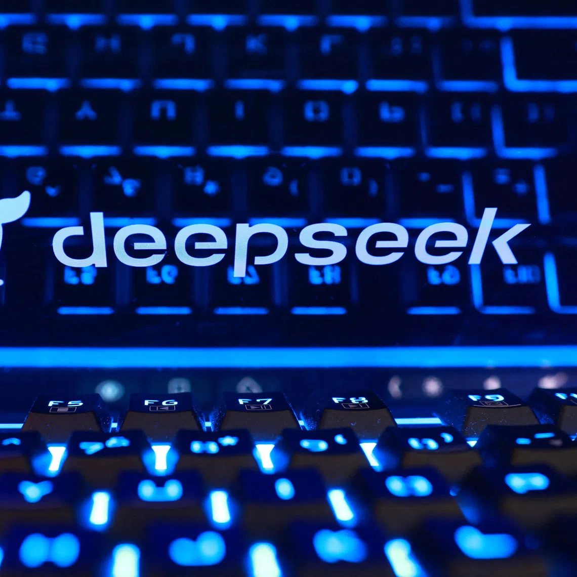 The US Department of Homeland Security on Oct 19 banned products developed by DeepSeek, saying they risked sharing sensitive data with China.