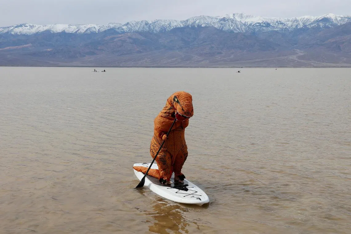 Garrett Dong, from Ventura, California, paddleboarding in an inflatable dinosaur costume at Lake Manly, a temporary lake created by heavy rainstorms, in Death Valley National Park on Feb  24, 2024. The lake is situated at Badwater Basin, the lowest point in North America, at 282 feet below sea level.   