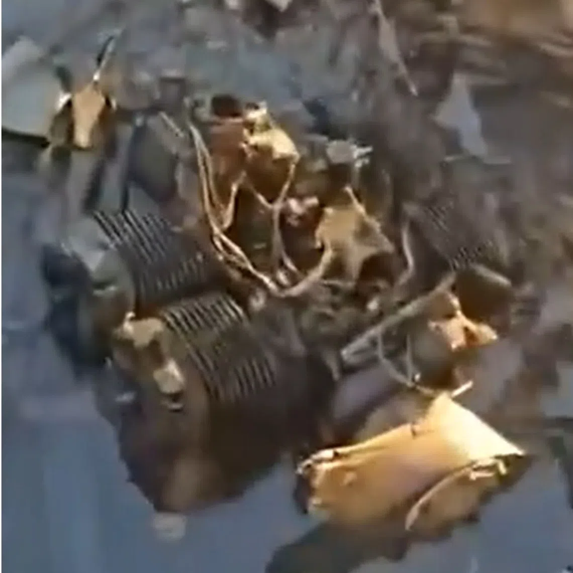 The attacked vessel, called the Viva, had 11 ‍Turkish citizens on board.