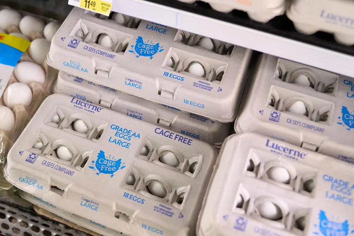 Egg prices have soared more than 50 per cent since 2024 across the US.