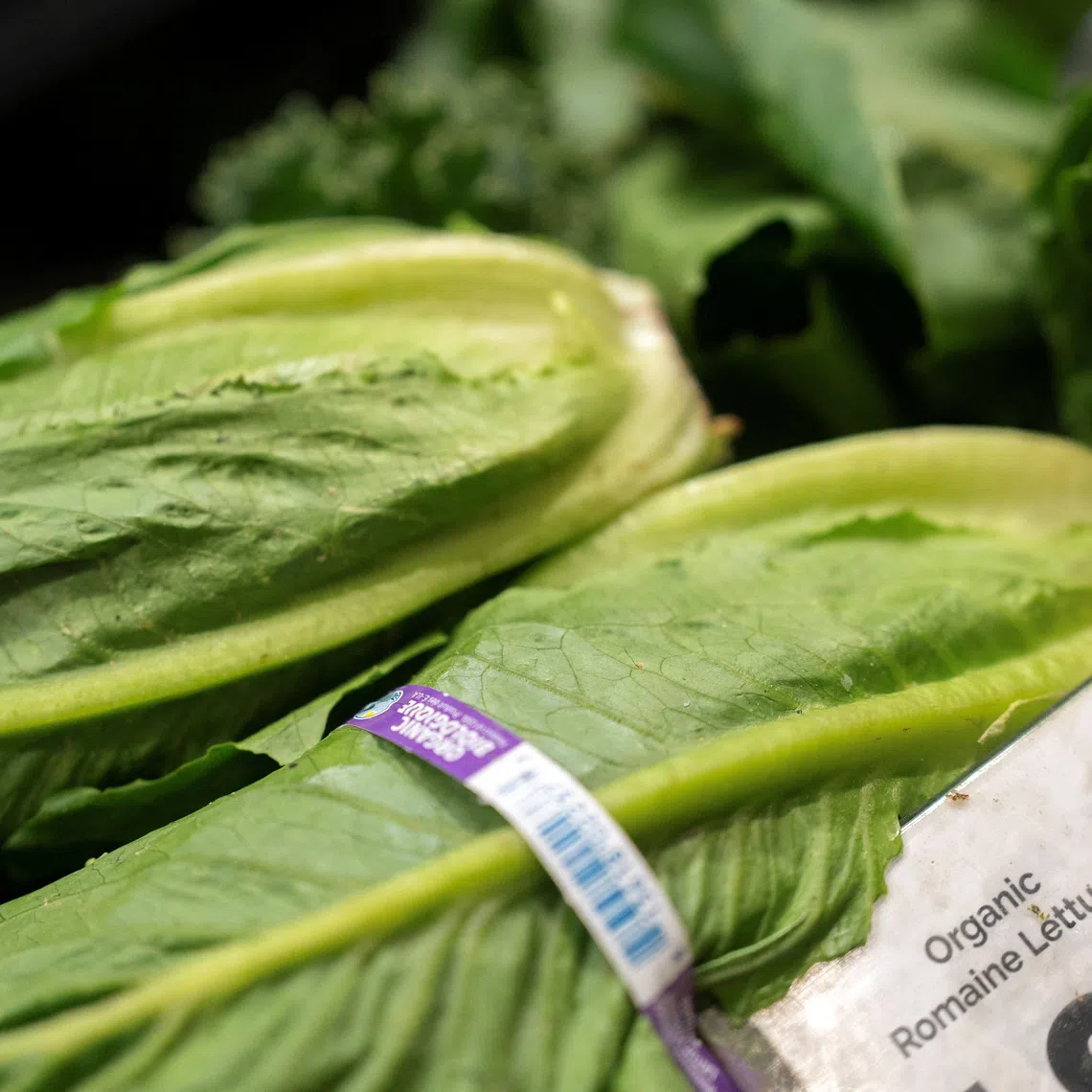 State and federal health officials linked an initial large cluster of infections in the Midwest to iceberg lettuce eaten at Taco Bell locations.