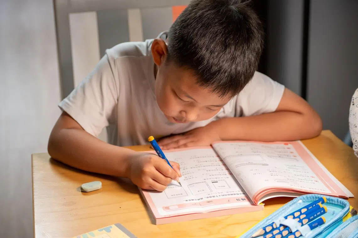 aaminor25 - Istockphoto - An Asian boy is doing his homework at home

photo for aaminor25, Life folder
