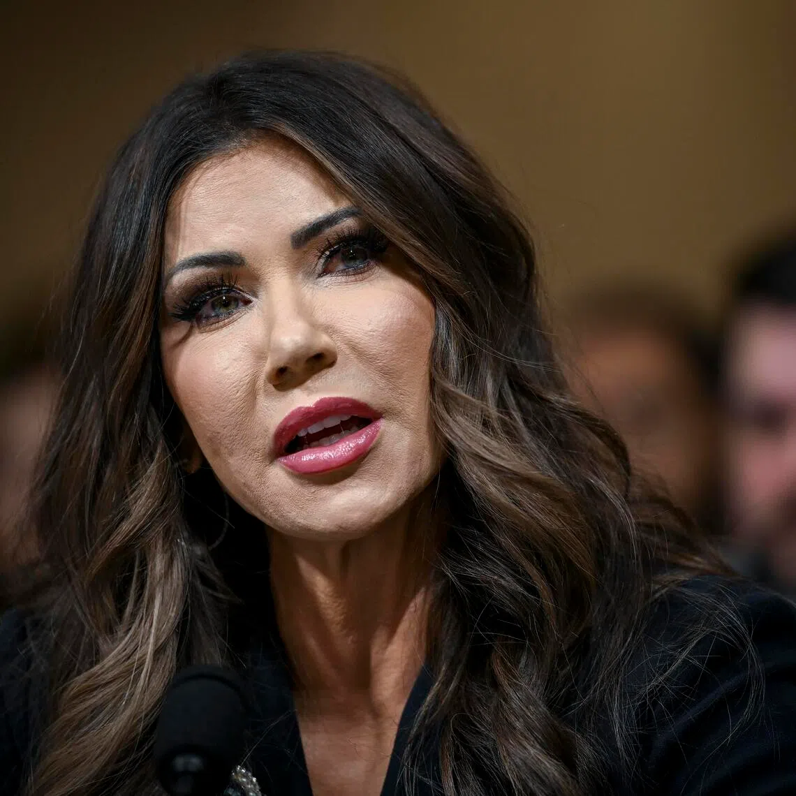 Homeland Security Secretary Kristi Noem said her department would pause processing of diversity lottery applications "to ensure no more Americans are harmed by this disastrous programme”.