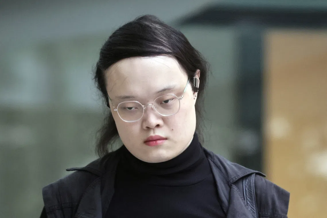 Alina Meridian, who had initially claimed trial, pleaded guilty to an assault charge.