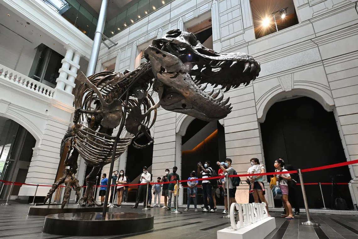 Shen the T-Rex on display at the Victoria Theatre and Concert Hall on Oct 28, 2022. 