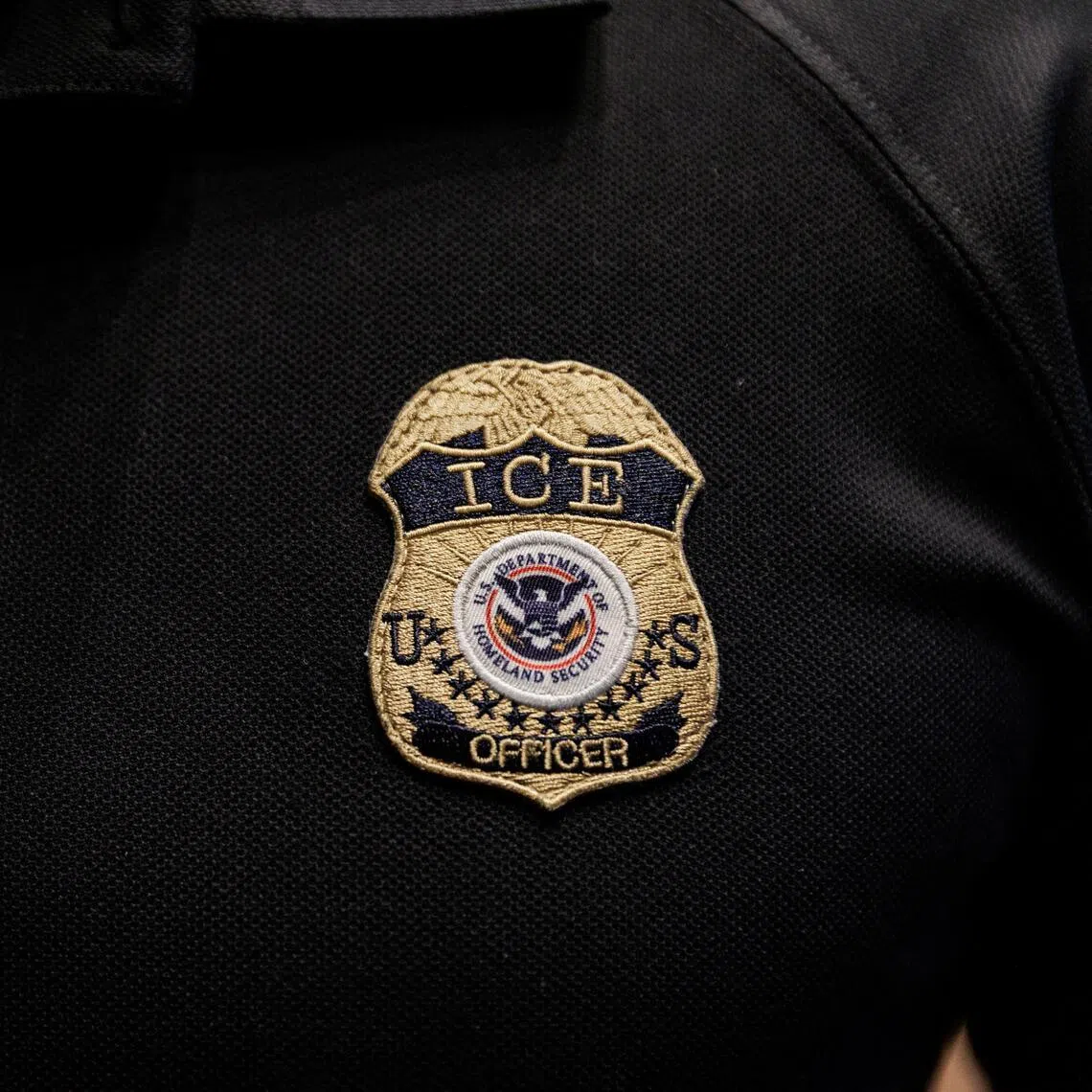 The ICE website lists five Canadian cities where the force has a permanent presence: Toronto, Montreal, Calgary, Vancouver and the capital Ottawa. 