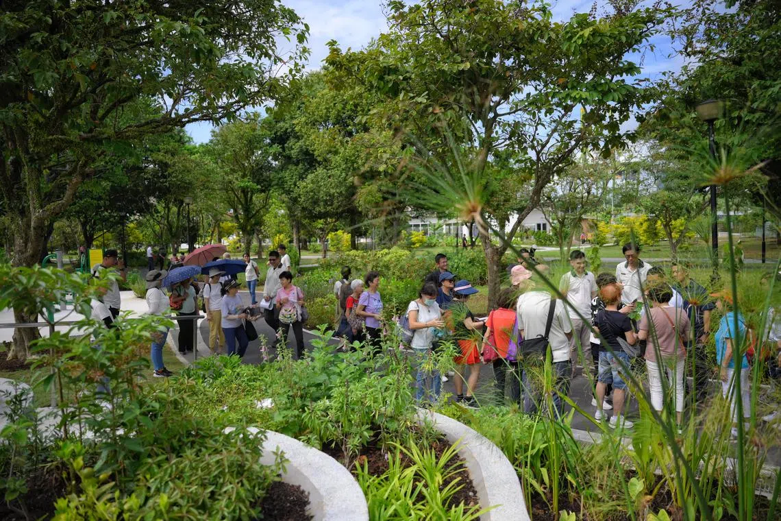 Senior citizens visit the new Therapeutic Garden at West Coast Park on Sept 12.