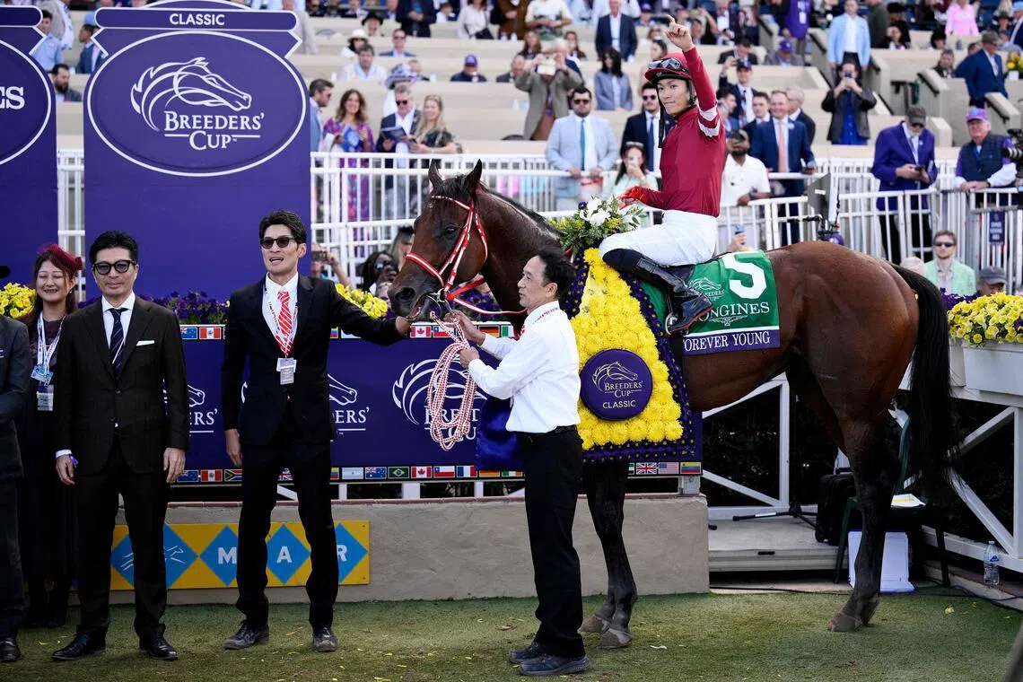 DEL MAR, CALIFORNIA - NOVEMBER 01: Ryusei Sakai #5 poses for photos in the winners circle aboard Forever Young after winning the Breeders' Cup Classic race on day two of the 2025 Breeders' Cup World Championships at Del Mar Race Track on November 01, 2025 in Del Mar, California.   Sean M. Haffey/Getty Images/AFP (Photo by Orlando Ramirez / GETTY IMAGES NORTH AMERICA / Getty Images via AFP)