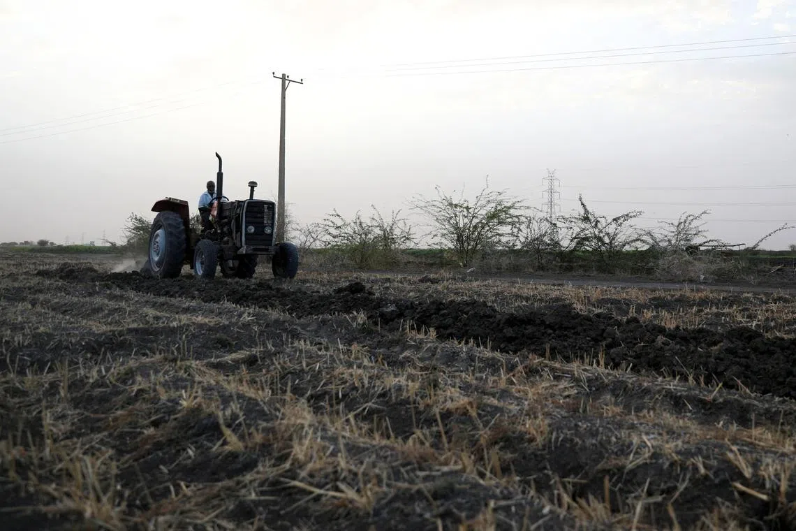 Iran war poses new threat to harvests in hunger-stricken Sudan