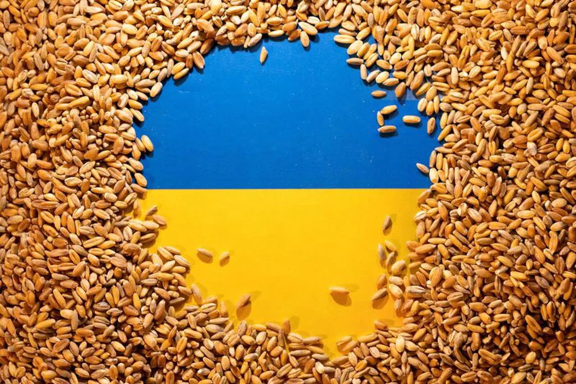 FILE PHOTO: Ukrainian flag is covered with grains in this picture illustration taken May 9, 2022. REUTERS/Dado Ruvic/File Photo