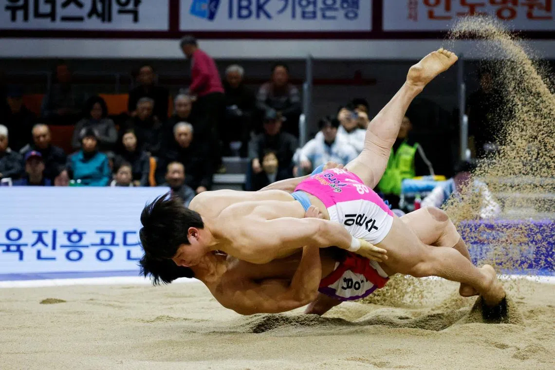 Mr Lee Eun-soo, a ssireum wrestler, competes during a Lunar New Year Ssireum championship at the Taean Complex Indoor Gymnasium in Taean, South Korea, on Feb 14. 