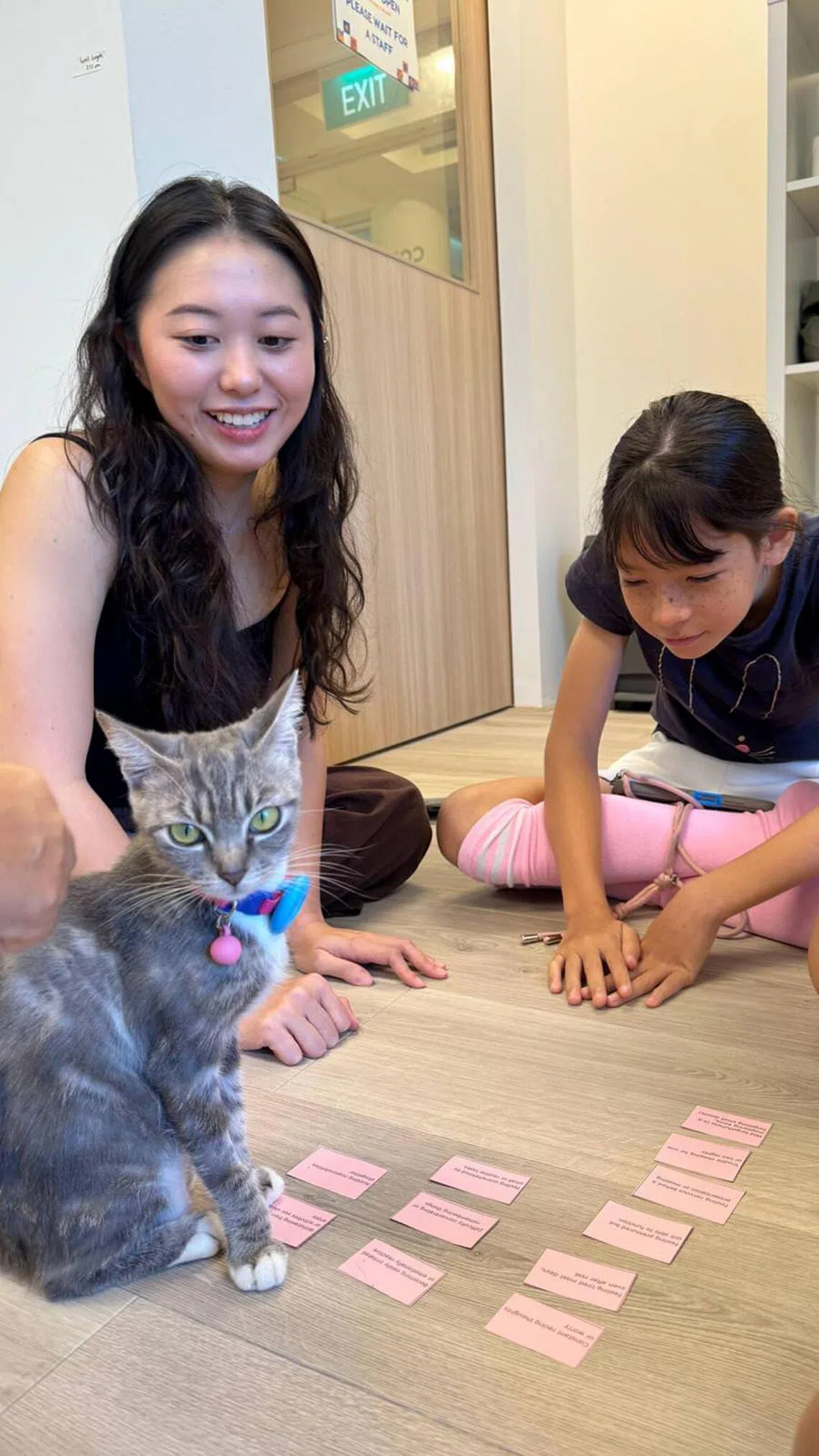 Nothing Purrsonal mental wellness programme with therapy cats at the Commewnity Cat Garden in City Sprouts Bedok.