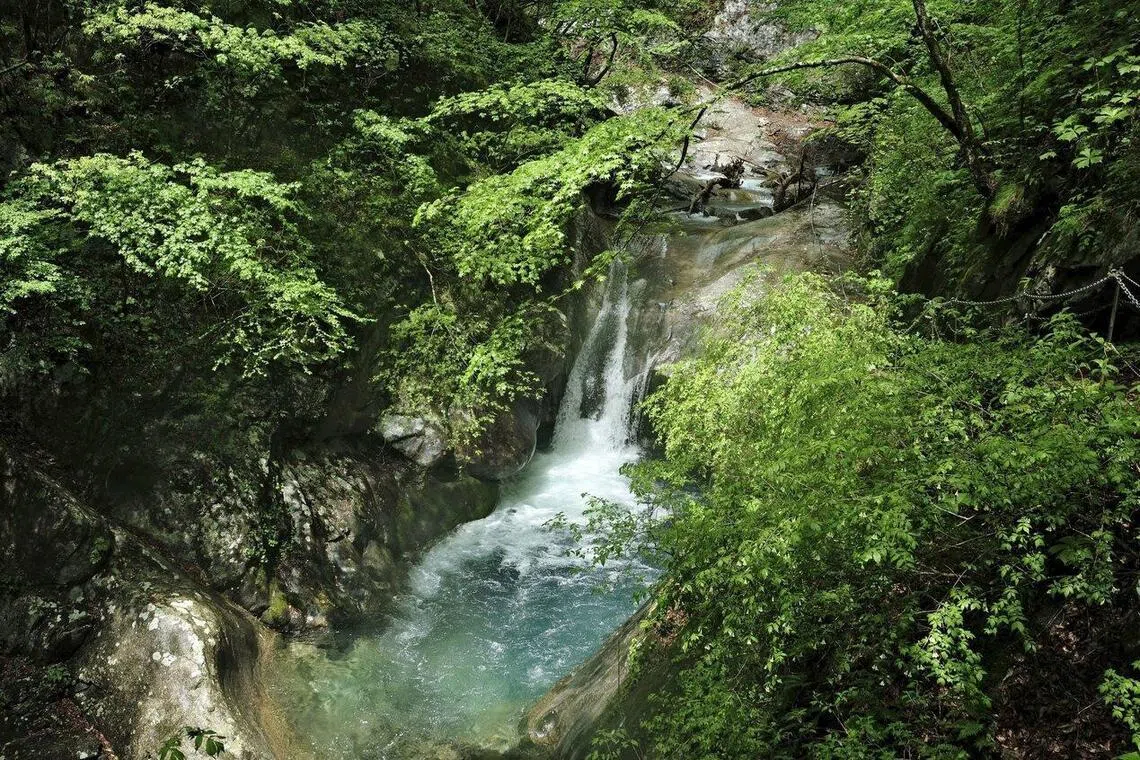 A female hiker died in May after falling into a waterfall pool at Nishizawa Gorge in Yamanashi Prefecture.