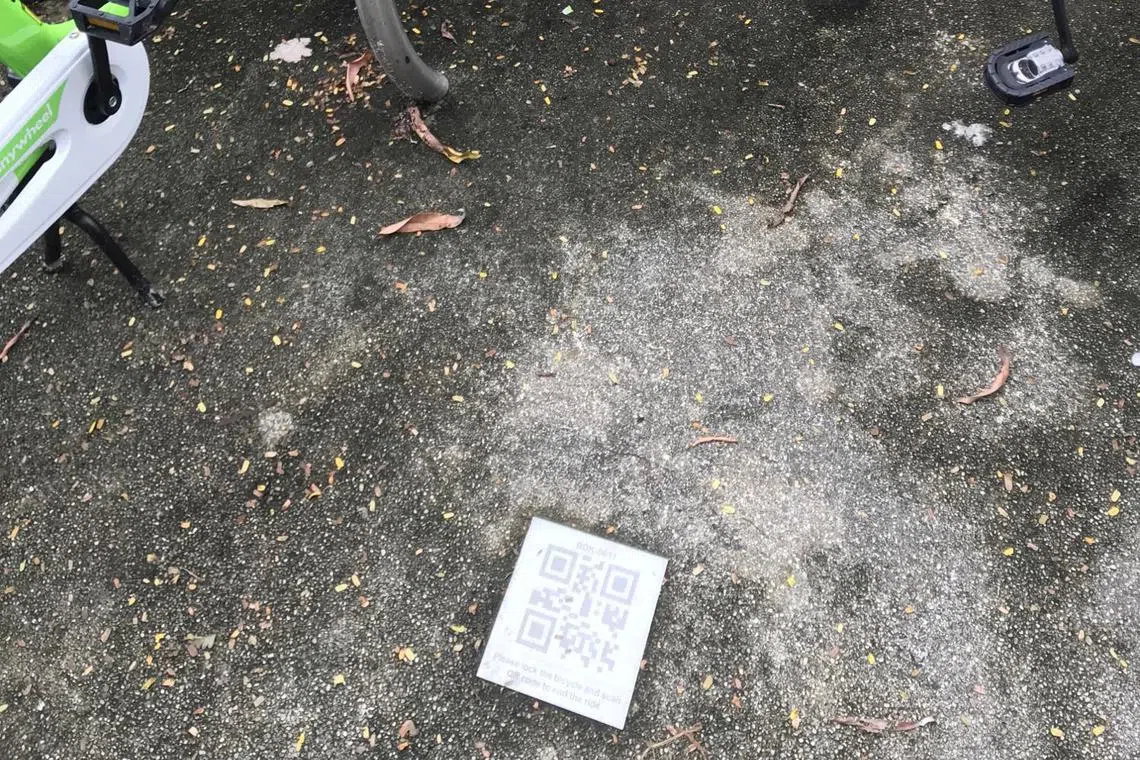 23yourpic - Bike sharing is now popular with leisure riders. To make the experience more pleasant, the authorities should ensure the parking QR codes are replaced regularly with working ones.


copyright: Goh GEOK HUAT