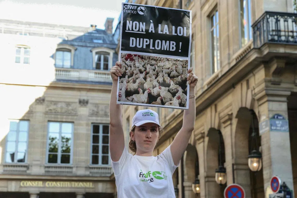A demonstrator awaiting the decision on Aug 7 holds a placard reading "No to the Duplomb law".