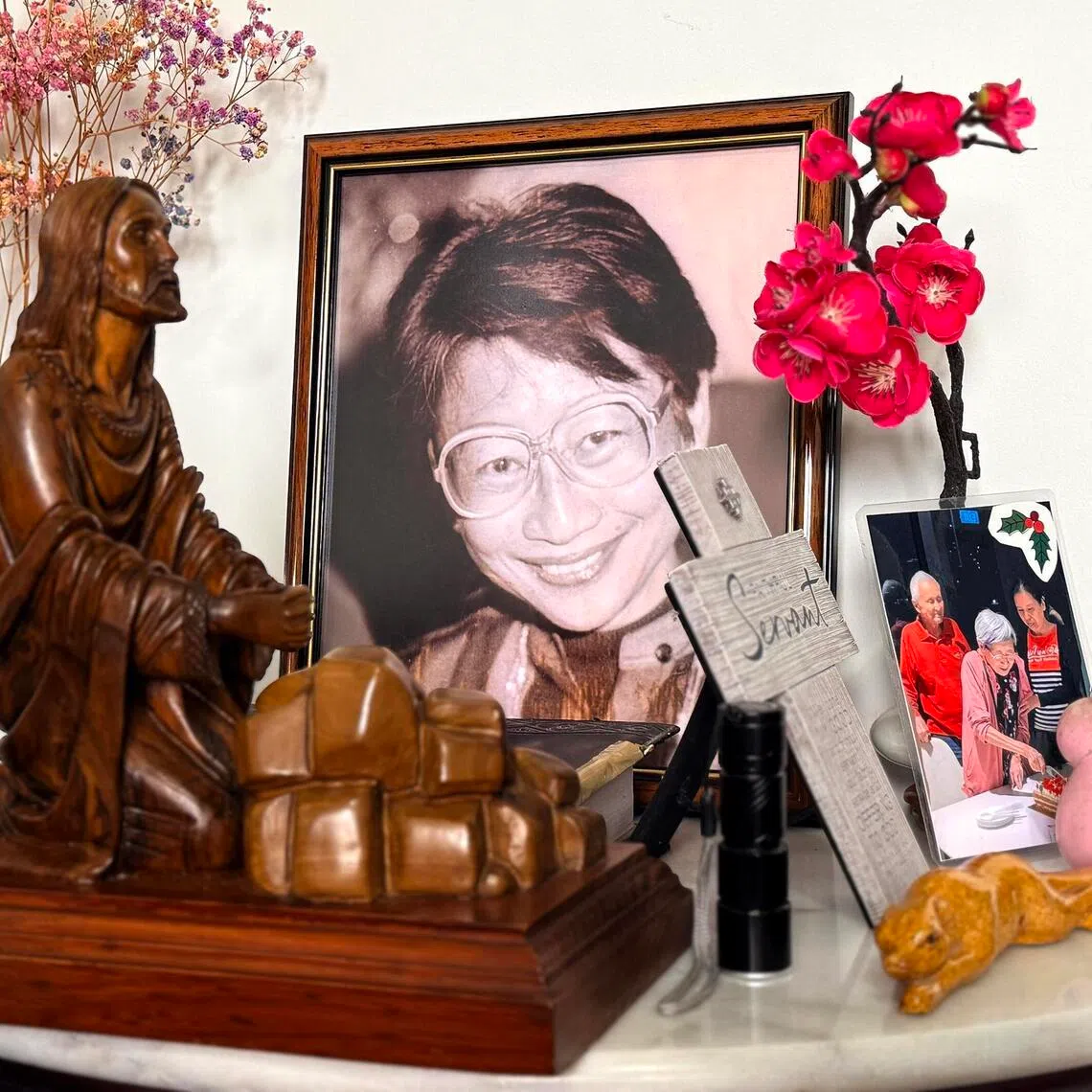 Dr Ong Yong Wan, the founding head of haematology at Singapore General Hospital who died in July 2025, planned to give about $20 million of her estate to charitable causes and her relatives.