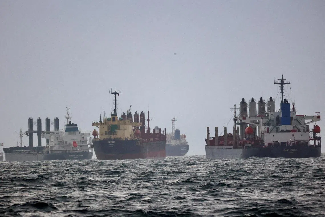Ships awaiting inspection under the Black Sea Grain Initiative in the Bosphorus in Instanbul, Turkey, on Dec 11, 2022.