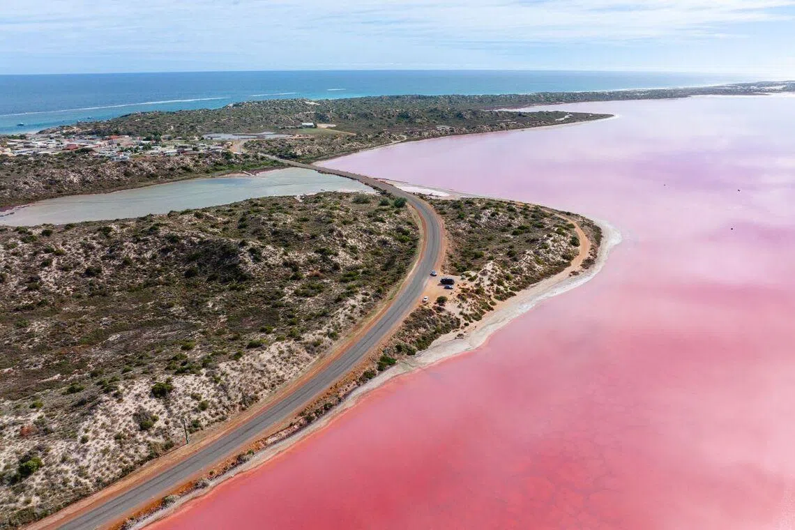 Pink lake in Hutt Lagoon in Port Gregory
