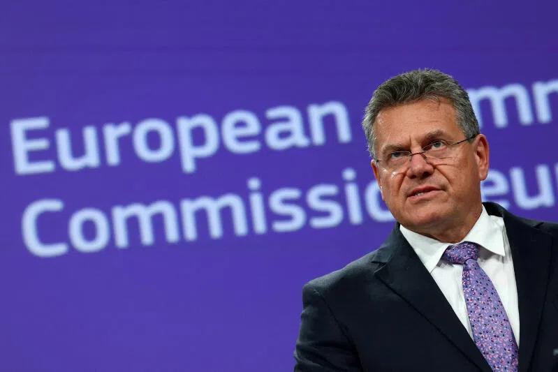 EU trade chief Maros Sefcovic has called China's export controls on rare earths "unjustified and harmful".