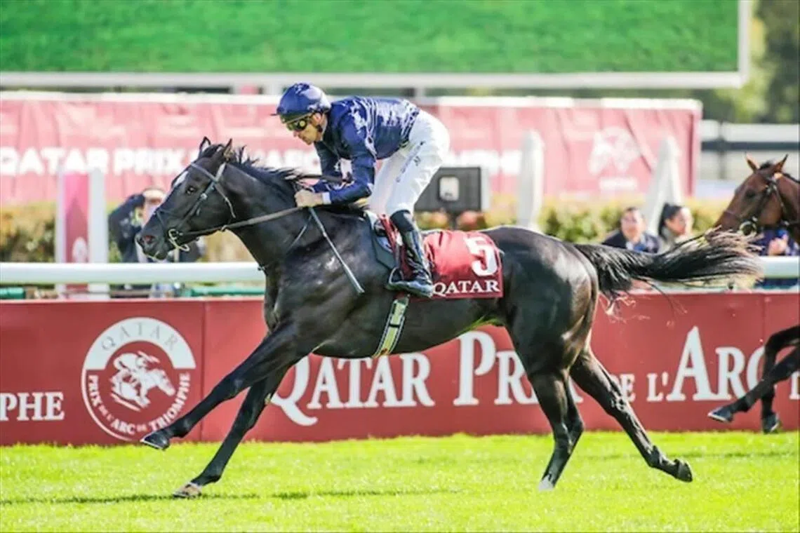 Coolmore's Puerto Rico (Christophe Soumillon) landing the Group 1 Prix Jean-Luc Lagardere (1,400m) at ParisLongchamp on Oct 5, 2025. The son of Wootton Bassett will be ridden by Ryan Moore in the Group 1 Poule d'Essai des Poulains (1,600m) at ParisLongchamp on May 10.
PHOTO: RACING AND SPORTS