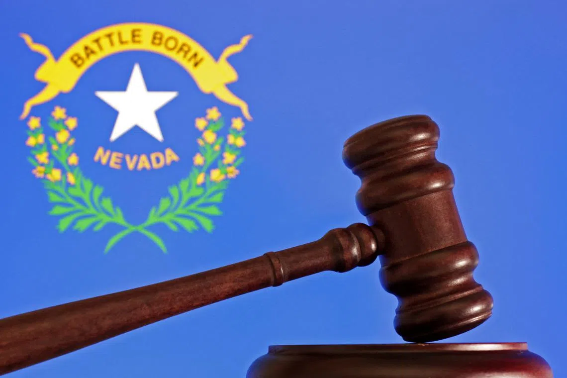 The flag of the U.S. state Nevada is seen in this illustration taken, August 21, 2024. REUTERS/Dado Ruvic/Illustration