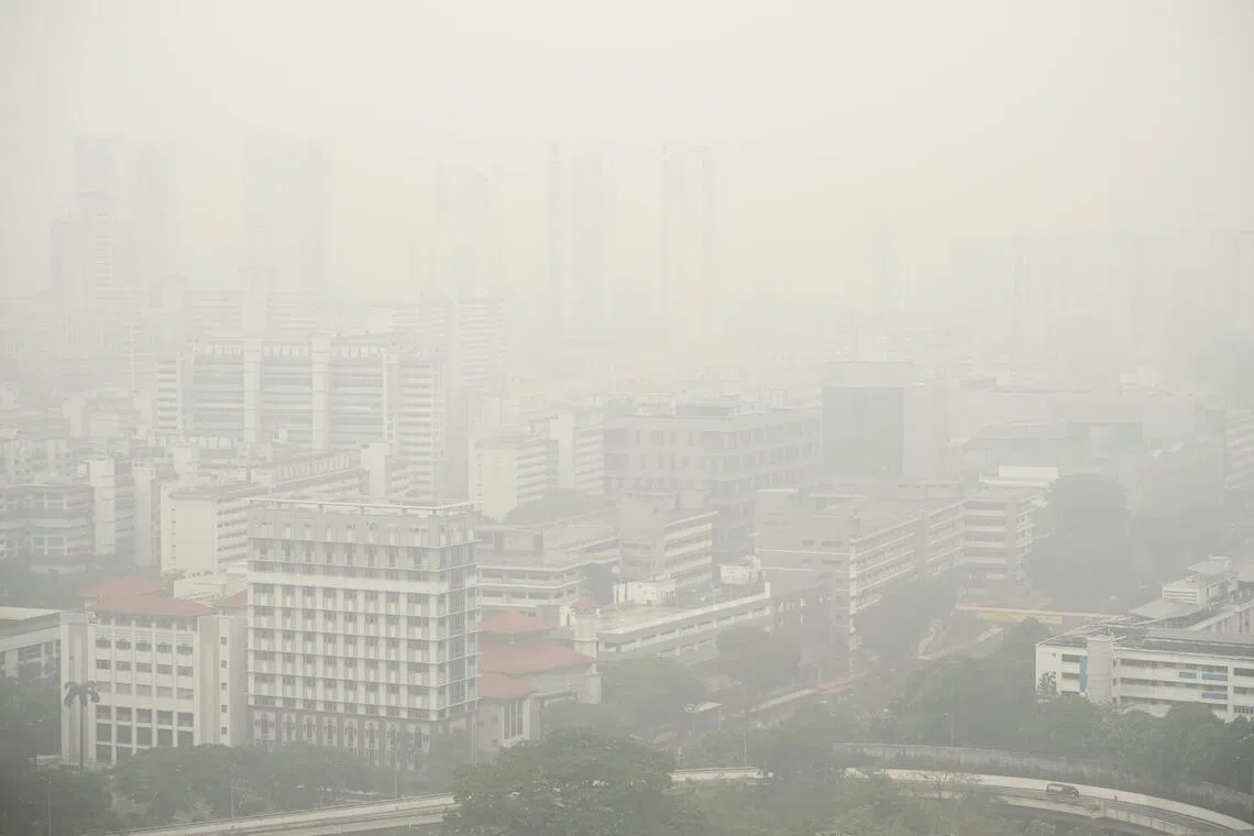 Where warranted, Singapore will take action under its Transboundary Haze Pollution Act