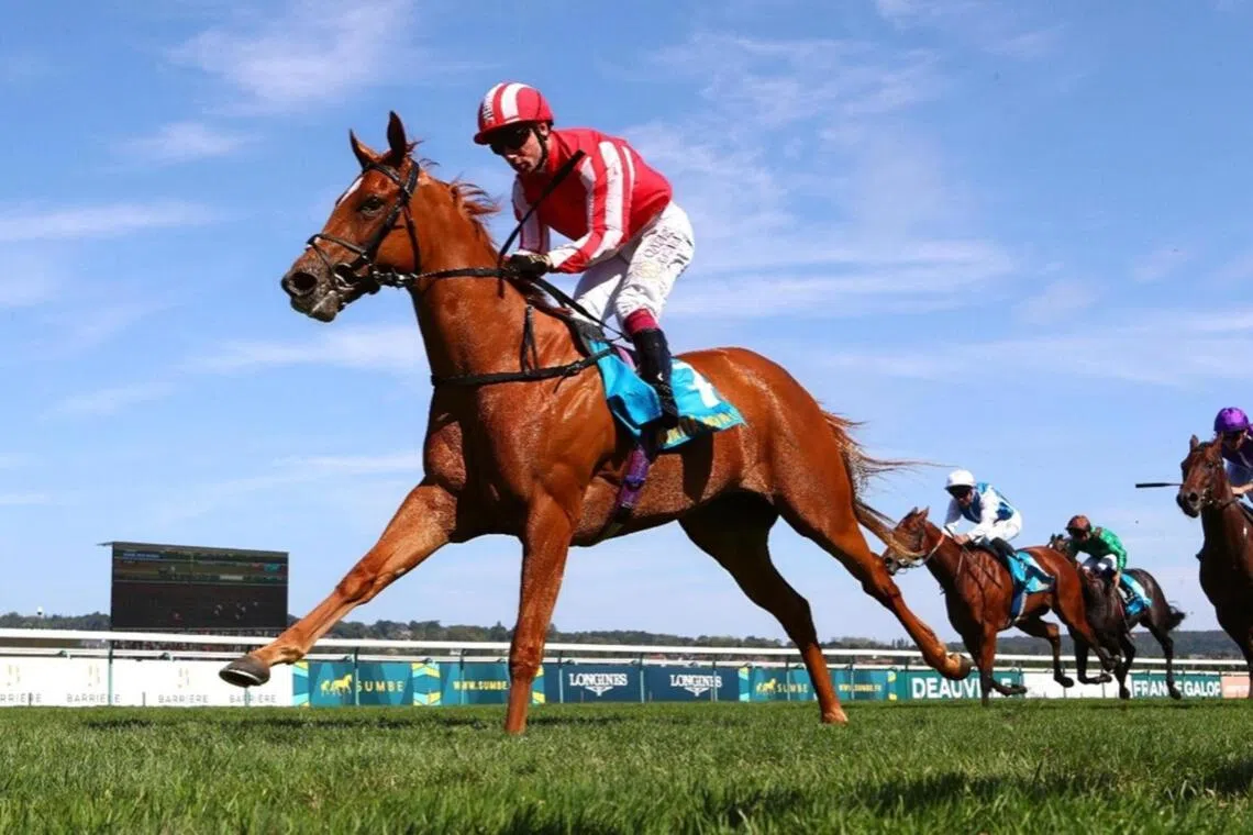 Senorita Bonita - Senorita Bonita

PHOTO:  FRANCE GALOP