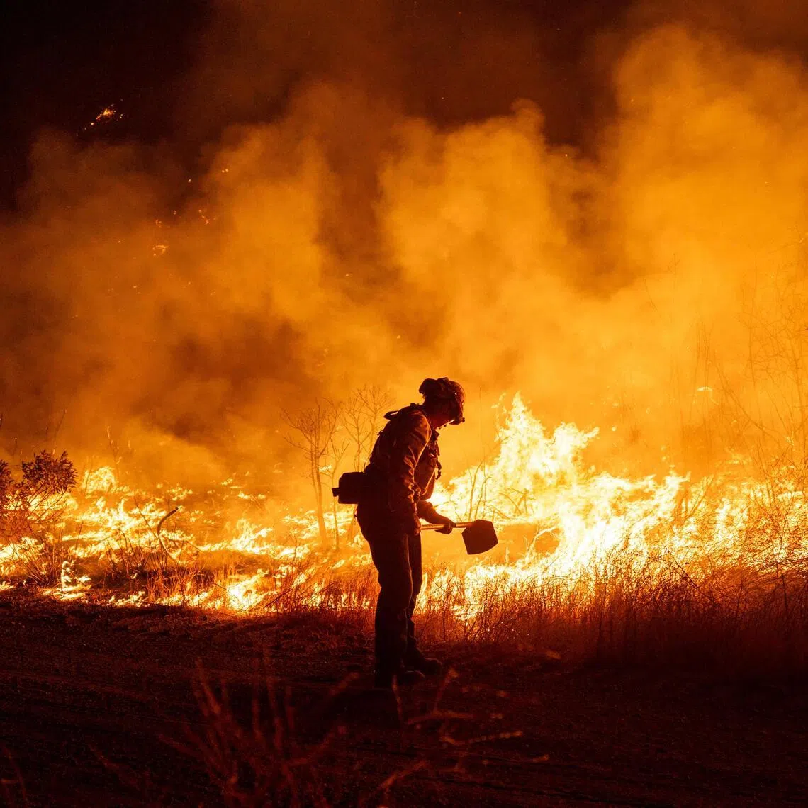 The defendant set a fire in a state park atop the Pacific Palisades with a barbeque lighter. 