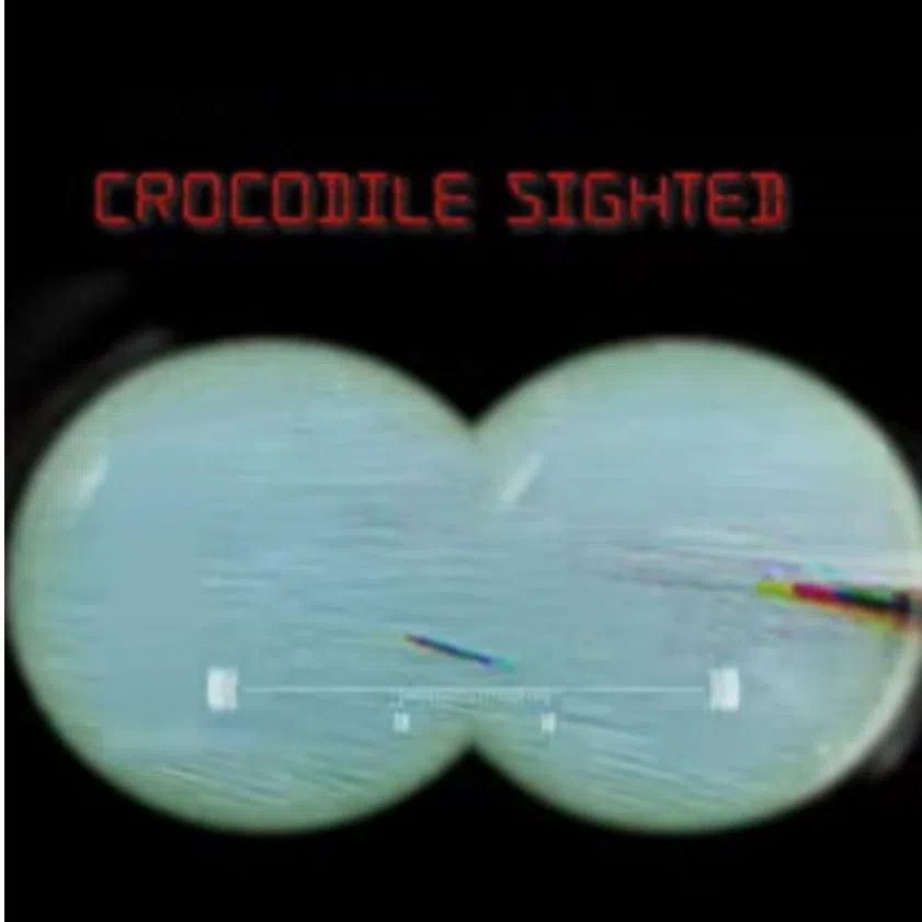 A crocodile was spotted in waters near the Changi Naval Base by sea soldiers from the Republic of Singapore Navy.